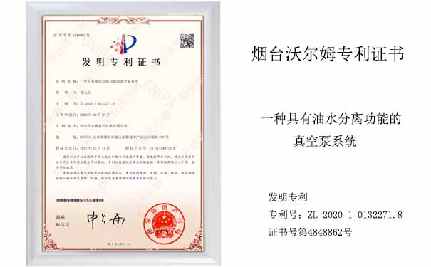 一種具有油水分離功能的真空泵系統_沃爾姆真空泵廠(chǎng)家發(fā)明專(zhuān)利